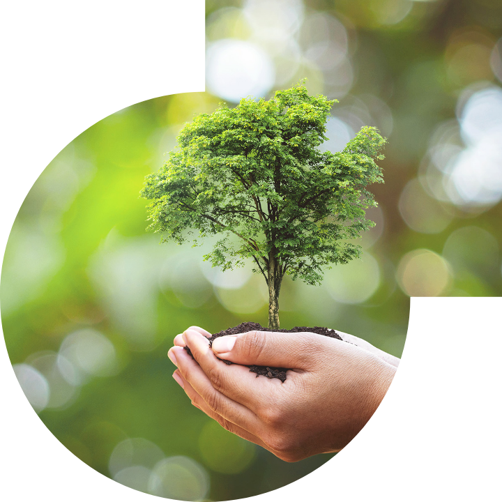 关怀人类、文化、环境与社会